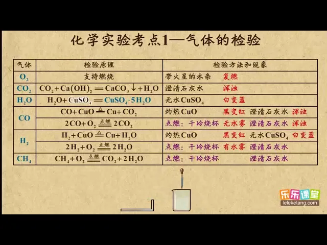 13化学实验考点1——气体的检验 能力提升 初中化学